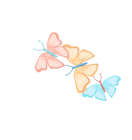 butterfly-2