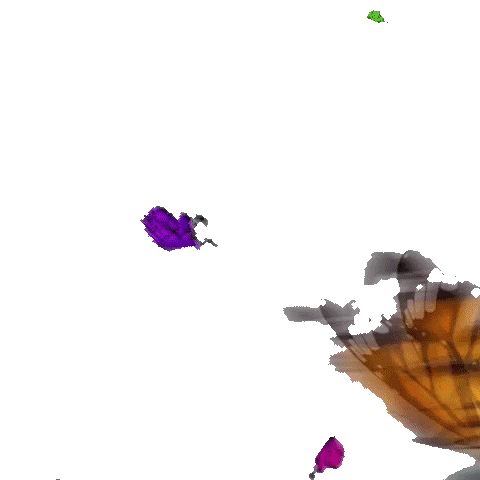branch butterfly-4