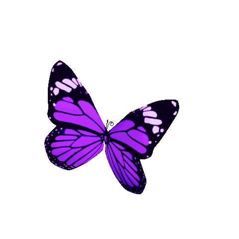 branch butterfly