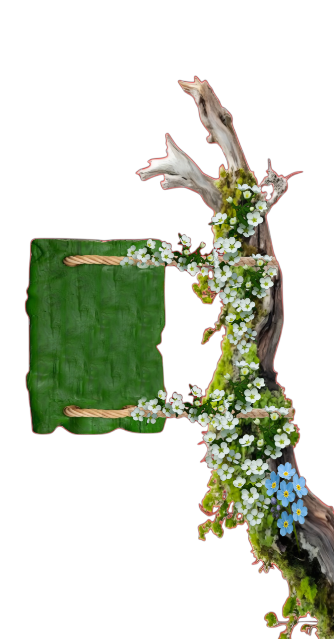 branch-with-flower